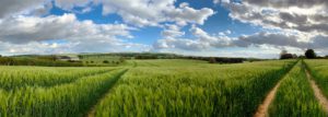 Agricultural Land - North Yorkshire - England